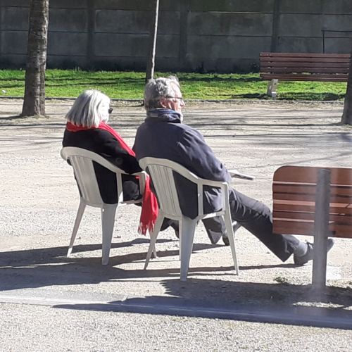 Des spectateurs assidus, mais où sont les boulistes ? Ils sont confinés, les pauvres !