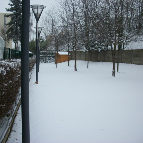Notre terrain sous une épaisse couche de neige, le 19 janvier.