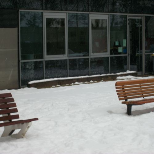 Pas de spectateurs assis sur les bancs (09/01/13).