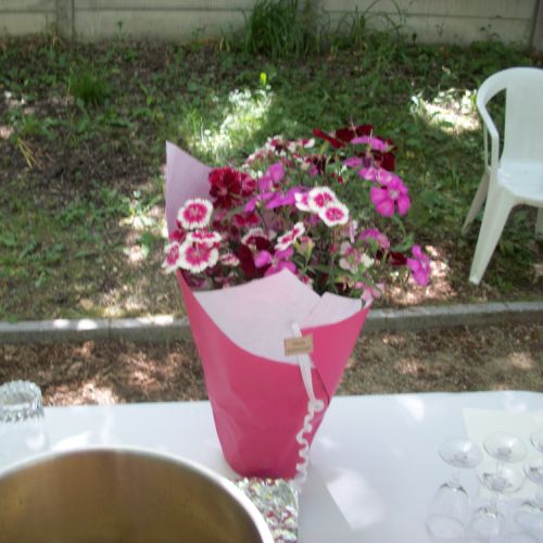 Joyeux anniversaire pour les 10 ans des nouveaux locaux (des fleurs champêtres offerte par Françoise).