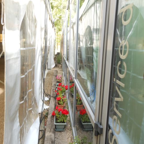 Juste de quoi faire respirer les géraniums.