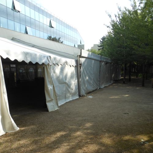 Mais oui ! Tout le terrain n'est pas encore envahi.