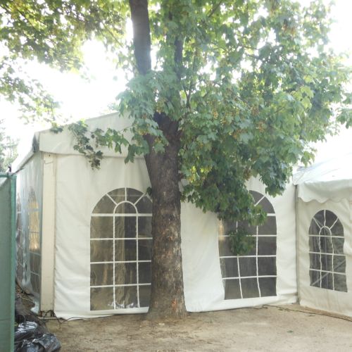 Auprès de mon arbre, je vivais heureux ...